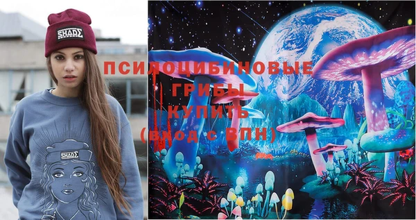 стаф Алексеевка