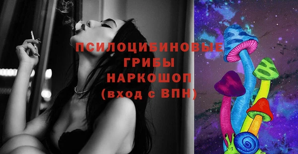 стаф Алексеевка