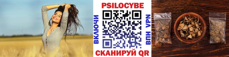 хочу   MEGA маркетплейс  Псилоцибиновые грибы Psilocybe  Углич 